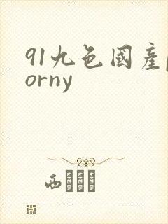 91九色国产porny封面