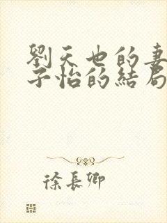 刘天也的妻子赵子怡的结局