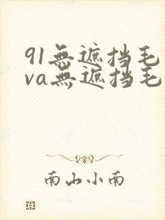 91无遮挡毛片va无遮挡毛片