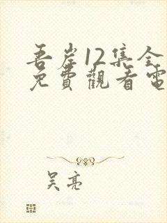 吾岸12集全集免费观看电视剧封面