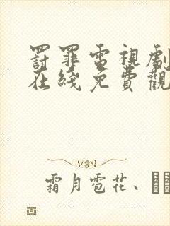 罚罪电视剧全集在线免费观看