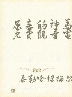 原来的神马琪琪免费观看电影封面