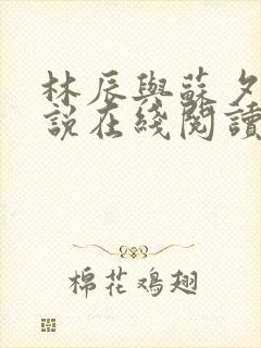 林辰与苏夕然小说在线阅读