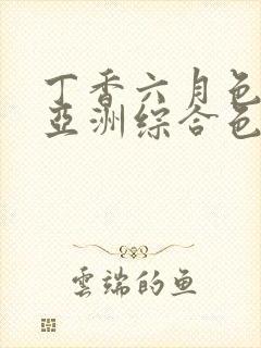 丁香六月色婷婷亚洲综合色封面