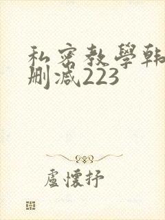 私密教学韩漫无删减223