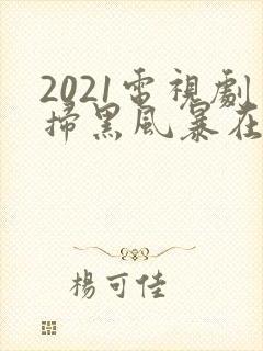 2021电视剧扫黑风暴在线观看25集