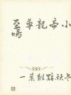 至尊龙帝小说陆鸣