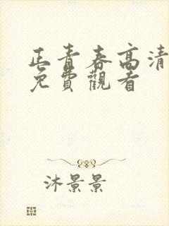 正青春高清全集免费观看封面