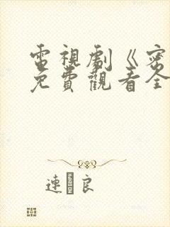 电视剧《密战》免费观看全集