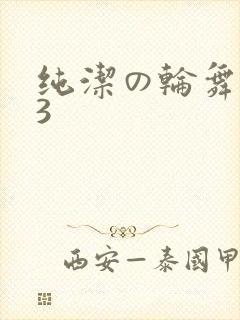 纯洁の轮舞曲 3