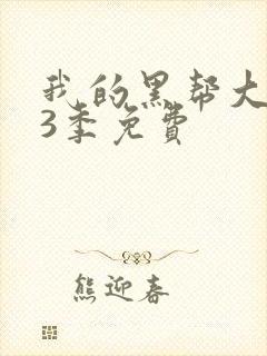 我的黑帮大佬第3季免费