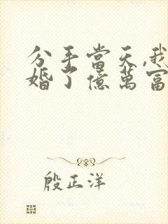 分手当天,我闪婚了亿万富豪小说免费阅读