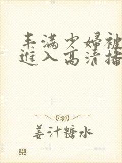 丰满少妇被猛烈进入高清播放,