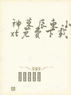 神墓辰东小说txt免费下载封面