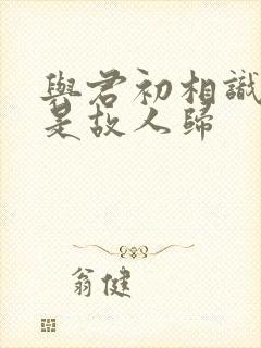与君初相识 似是故人归封面