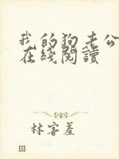 我的狗老公小说在线阅读