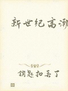 新世纪高潮战队封面