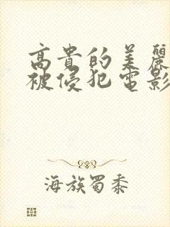 高贵的美丽人妻被侵犯电影