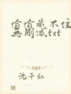 偷偷藏不住全文无删减txt