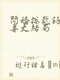 闪婚总裁的契约妻大结局