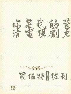 你是我的荣耀高清电视剧免费观看