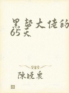 黑帮大佬的第365天