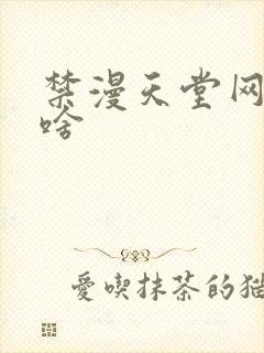 禁漫天堂网站是啥封面