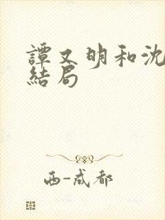 谭又明和沈宗年结局