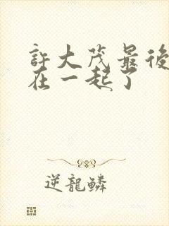 许大茂最后和谁在一起了封面