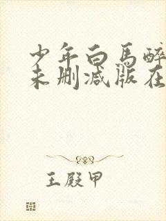 少年白马醉春风未删减版在线观看