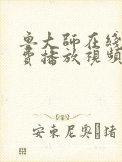 鲁大师在线看免费播放视频电视剧网