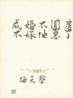 成婚不圆房娇娇不嫁他急了封面