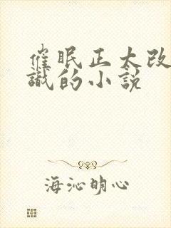 催眠正太改变常识的小说封面