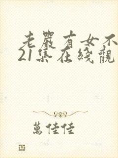 老严有女不愁嫁21集在线观看