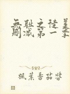 无耻之徒美版无删减第一季