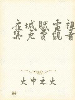 夜城赋电视剧全集免费观看