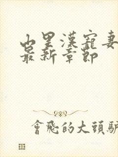 山里汉宠妻无度最新章节封面