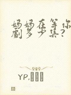 妈妈在等你电视剧多少集?