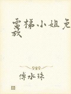 电梯小姐免费播放