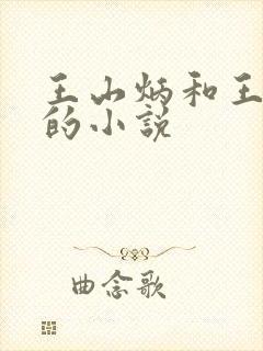王山炳和王小莲的小说