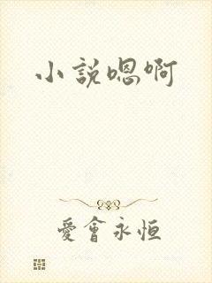 小说嗯啊