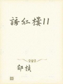 诱红楼11封面