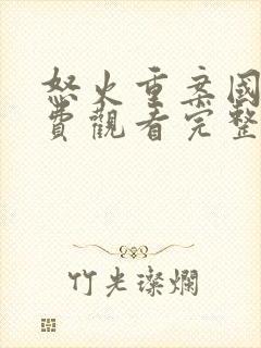 怒火重案国语免费观看完整版电影