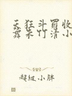 天狂斗罗收服小舞朱竹清小说