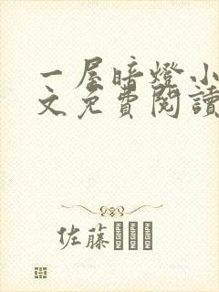 一屋暗灯小说全文免费阅读封面