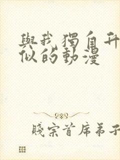 与我独自升级类似的动漫