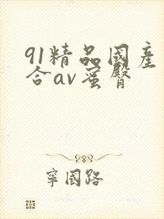 91精品国产综合av蜜臀