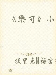 《乐可》小说封面