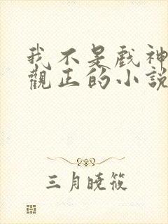 我不是戏神是三观正的小说吗