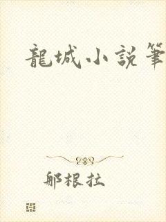 龙城小说笔趣阁封面